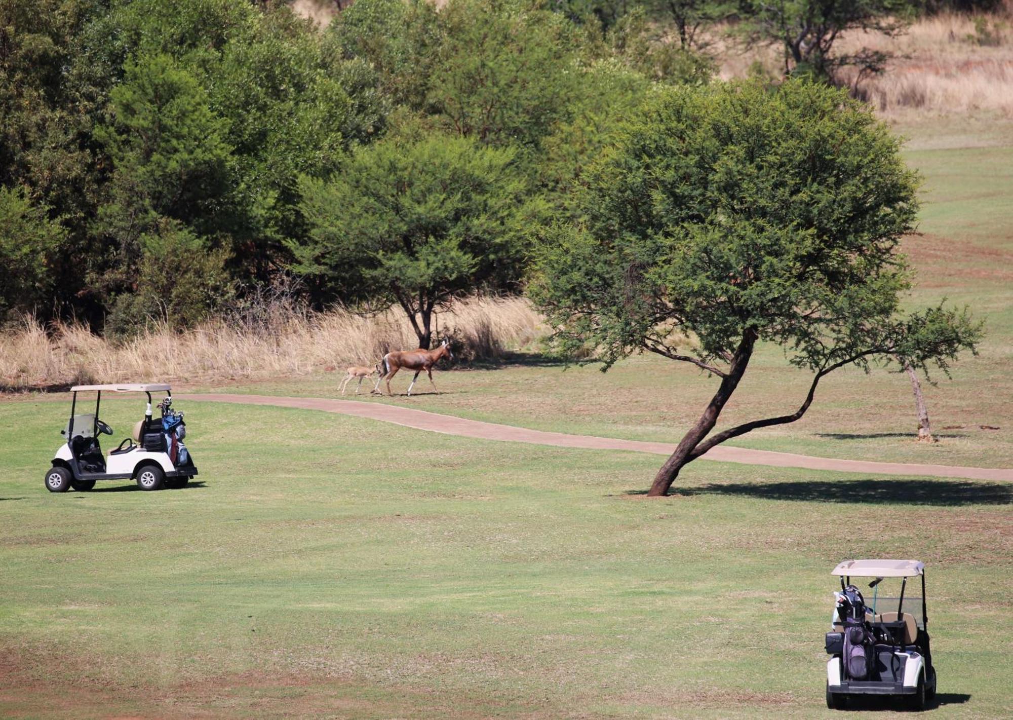 Schrikkloof Private Nature Reserve Bela-Bela Buitenkant foto
